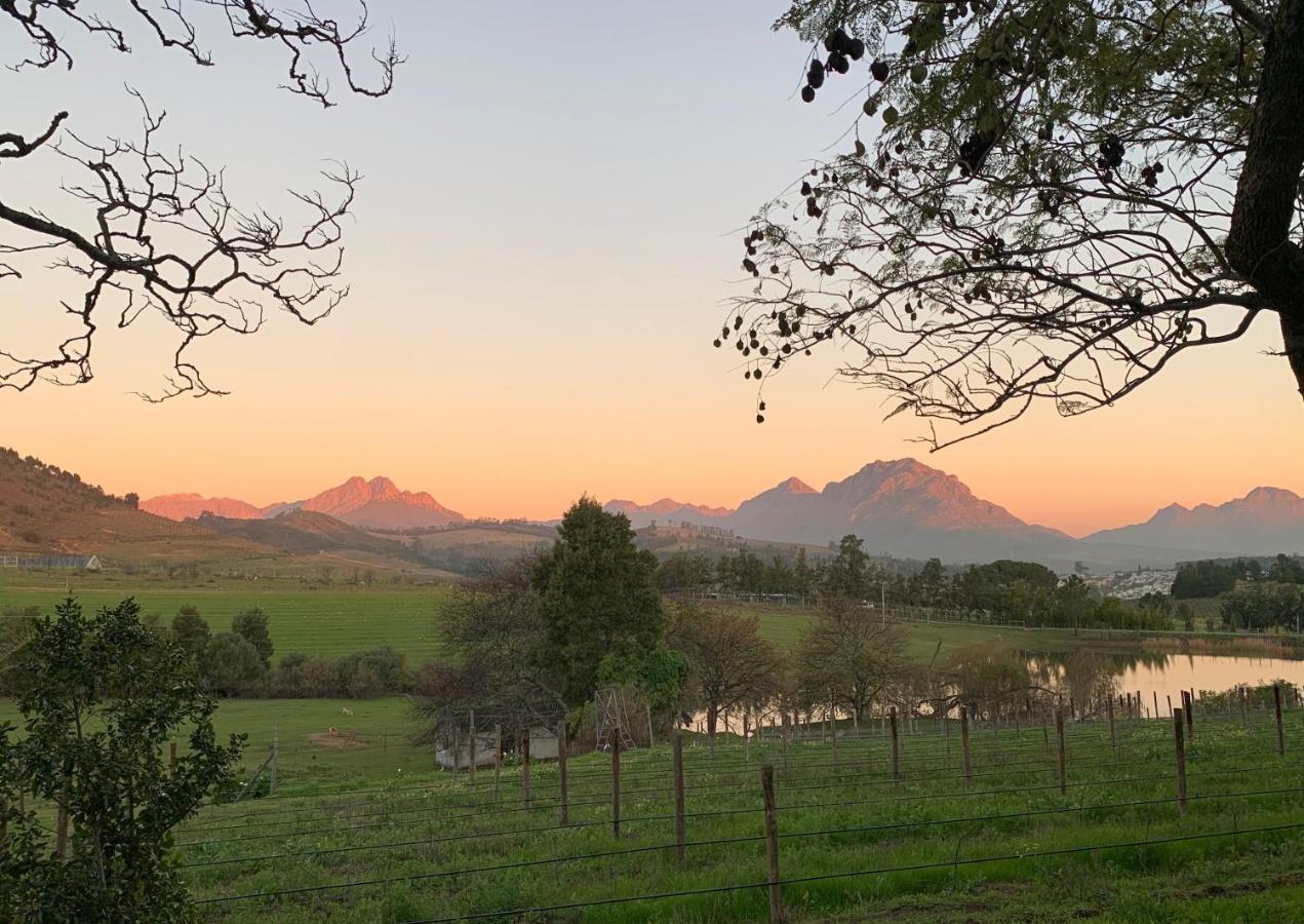 Wildlife Retreat On A Wine-Farm Vila Stellenbosch Exterior foto