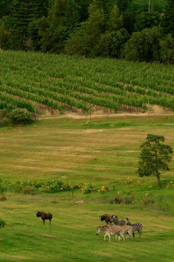 Wildlife Retreat On A Wine-Farm Vila Stellenbosch Exterior foto